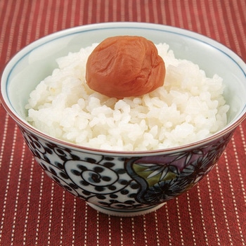 中田食品 紀州産南高梅おいしく減塩 はちみつ 250g 中田食品