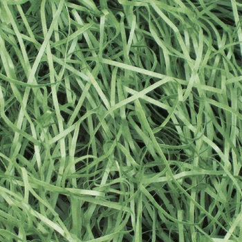 35-5885 ���p�b�L�� �T�T�K�� 53537567