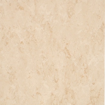 FPT2044 ���^�C�� �t�F�C�\�[���v���X ���� 53640433