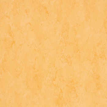 FPT2024 ���^�C�� �t�F�C�\�[���v���X ���� 53640616