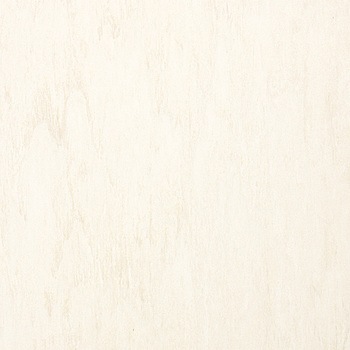 VT955 床タイル ピエスタ 東リ 53640817