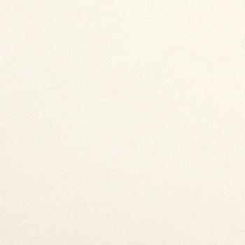 VT955-3045 床タイル ピエスタ 東リ 53640835