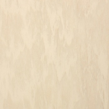 VT956 床タイル ピエスタ 東リ 53640975