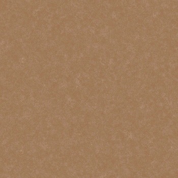 TTN1120 u~^C [XC^C LLt[40NW-EX NEh  53641273