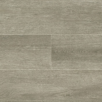 TTN3123 u~^C [XC^C LLt[50NW-EX  53641675