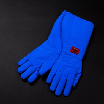 TS-EBSWP �ϊ��p��� �G���{�^�C�v �A�C�V�X 53716523