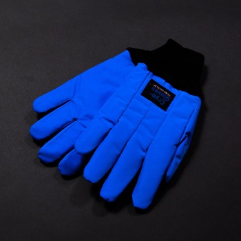 TS-WRS �ϊ��p��� �����h�����X�g�^�C�v �A�C�V�X 53716548