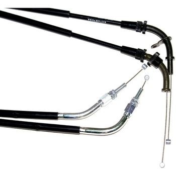 ECT49703 XbgP[u EFFEX(GtFbNX) 53732867