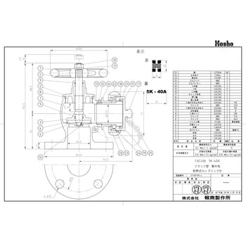 船用5Kフランジ付アングル散水バルブ(キャップ付)町野式 報商製作所 弁