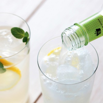 R14 3 夕張メロンと ノースファームストック 北海道ジンジャーエール 1セット ノースファームストック 通販サイトmonotaro