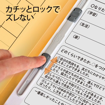 フラットファイル キャリア・パスポート 専用 PLUS(プラス)[文具]