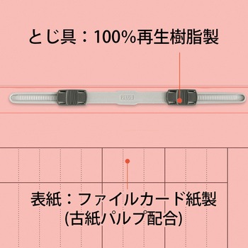 フラットファイル キャリア・パスポート 専用 PLUS(プラス)[文具]