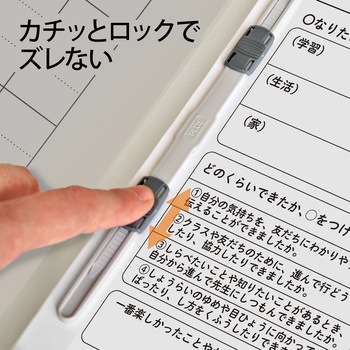 フラットファイル キャリア・パスポート 専用 PLUS(プラス)[文具]