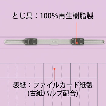 フラットファイル キャリア・パスポート 専用 PLUS(プラス)[文具]