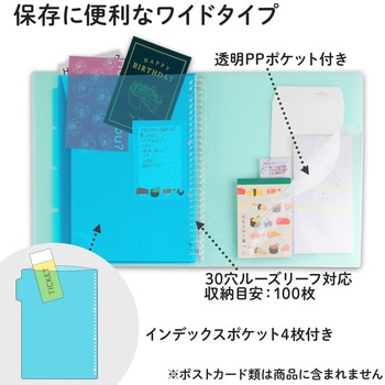 A4 バインダー パペルール ブリューム 30穴 (ワイドタイプ) 日本ノート