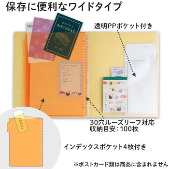 A4 バインダー パペルール ブリューム 30穴 (ワイドタイプ) 日本ノート