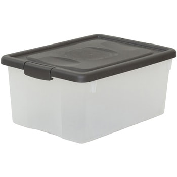 M �I���I�� JEJ�A�X�e�[�W 53847825