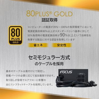 Seasonic FOCUS GM 80+GOLD セミモジュール電源 Seasonic(シーソニック