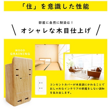 TAPKING USB WALL AC2個口 3.4A USB Fargo
