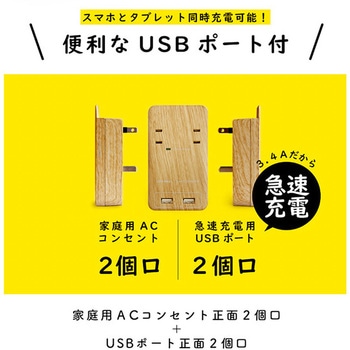 TAPKING USB WALL AC2個口 3.4A USB Fargo