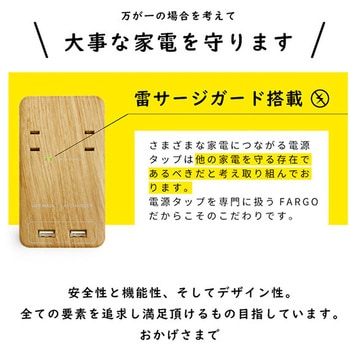 TAPKING USB WALL AC2個口 3.4A USB Fargo