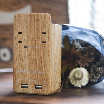 TAPKING USB WALL AC2個口 3.4A USB Fargo