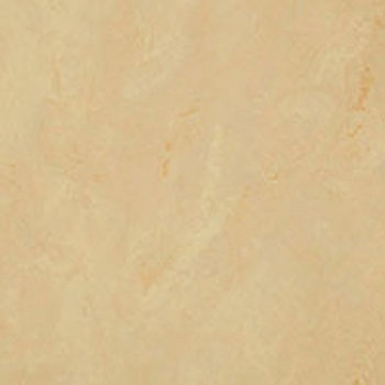 682-913 �h���`�F �^�W�}(�c�����[�t�B���O) 53907395