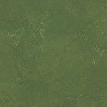 682-941 �h���`�F �^�W�}(�c�����[�t�B���O) 53907675