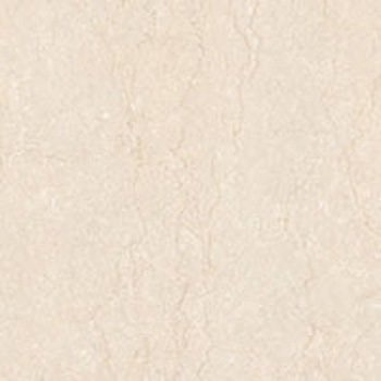 MQE-134 }bL[l Ζڒ ^W}(c[tBO) 53909958