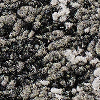 DT-3204 �^�C���J�[�y�b�g ���i �T���Q�c 53924895