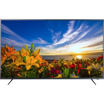 65XUB30 4Kチューナー内蔵液晶テレビ 1台 アイリスオーヤマ 【通販 