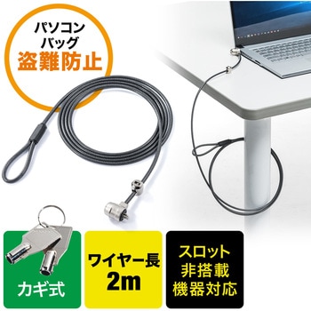 セキュリティ(200-SL046) サンワダイレクト
