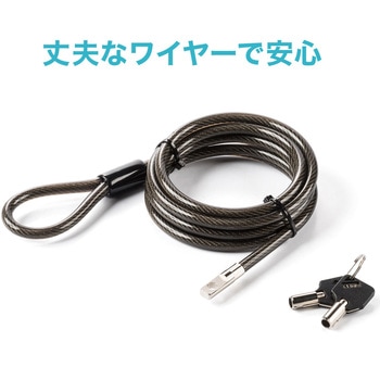 セキュリティ(200-SL062) サンワダイレクト