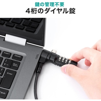 セキュリティ(200-SL068) サンワダイレクト