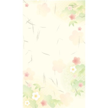 5-3755 �̂��� �a�����땿 �^�J��(�T�T�K��) ���ꎆ 54087916