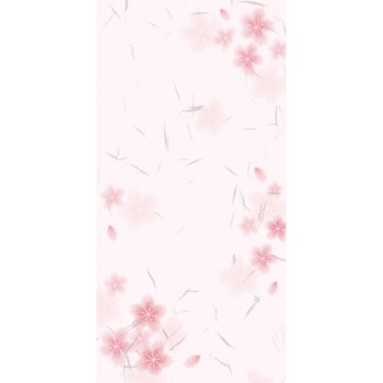 のし袋 和ごころ柄 タカ印(ササガワ)