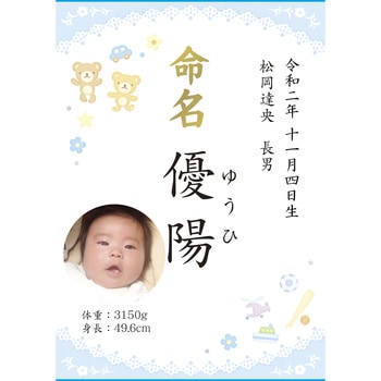 命名紙(OA対応) タカ印(ササガワ)