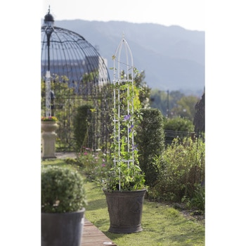 オベリスクスリム - タカショー