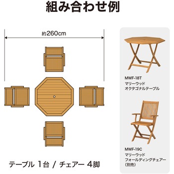 マリーウッド オクタゴナルテーブル タカショー