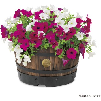ウッドバレルプランター 浅型 タカショー