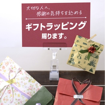 特殊カード立 ワイドビッグクリップ ササガワ