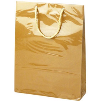 50-6634 ��񂰃o�b�O �L�����[�o�b�O �T�T�K�� 54108627