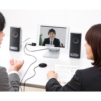 マイクロホン サンワダイレクト