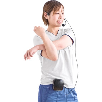 マイク サンワダイレクト