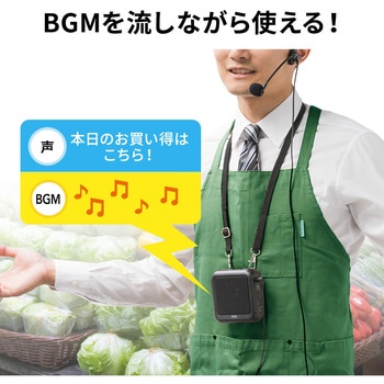 拡声器スピーカー サンワダイレクト