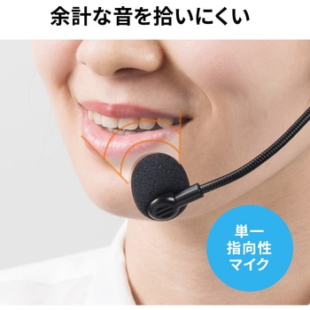 拡声器スピーカー サンワダイレクト
