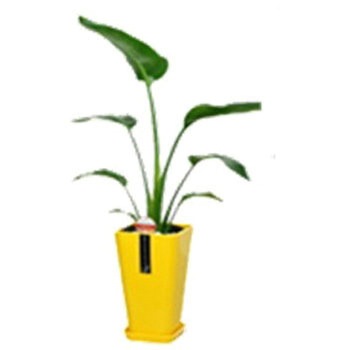 - オーガスタ カラーポット SUN & HOPE(サンアンドホープ) 54122444