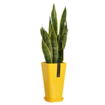 - �T���X�x���A �J���[�|�b�g SUN & HOPE(�T���A���h�z�[�v) 54122898