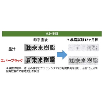 エバーブラック 未来樹脂