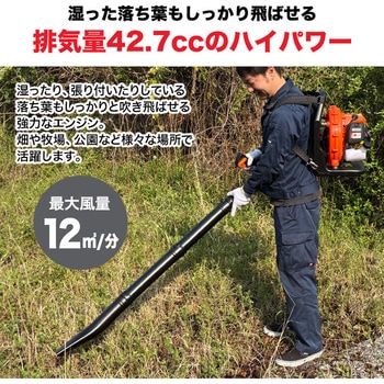 エンジン式ブロワー 送風機 集じん SIS